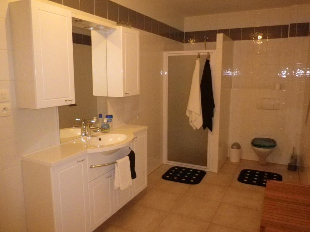 Appartement Celia Wittisheim 객실 사진